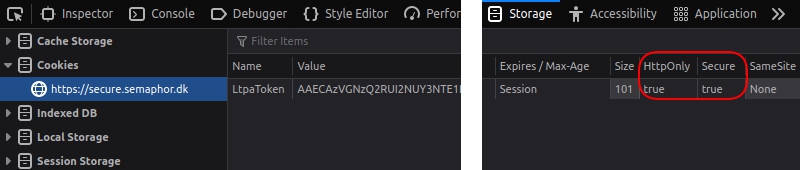 Cookie shown in the Firefox developer tools.